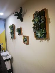 -丽时 Hair Salon