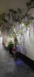 -盘子女人坊古装写真摄影(深圳店)