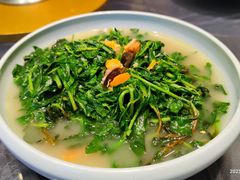 清炒野菜-琼菜王(南海店)