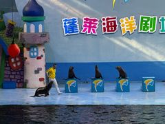 -蓬莱欧乐堡海洋极地世界