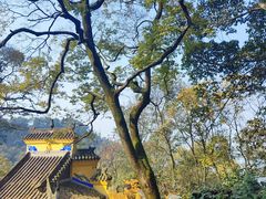 -涂山寺素食餐厅