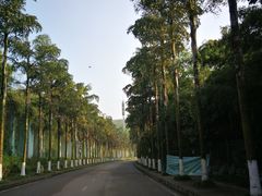 -重庆海昌加勒比海水世界