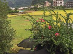-老根农家饭店