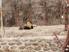 -沈阳森林动物园