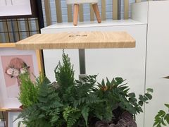 -荷兰花海
