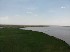 -哈素海
