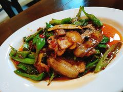 回锅肉-夫妻肺片·中华老字号·正宗川菜(春熙路店)