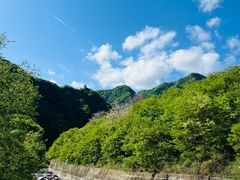 -朱雀国家森林公园