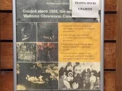 -怀托摩萤火虫洞