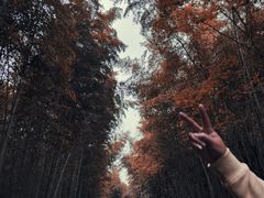 -游子山休闲旅游区