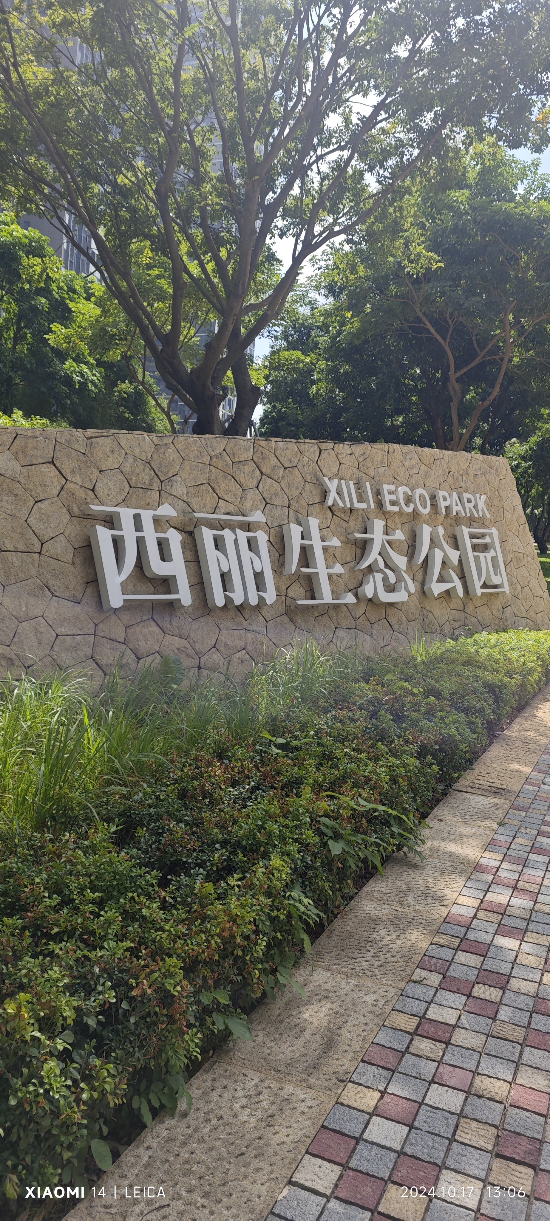 凤岗沃尔玛对面公园图片