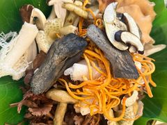 -野菌园·野生菌火锅首创第一家(关兴路总店)