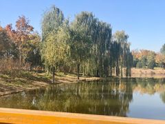 -东郊湿地公园
