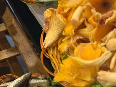 -菌海森林·非遗野生菌火锅(西山区滇池路摩根道店)