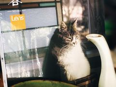 -麦田书店(国防路店)