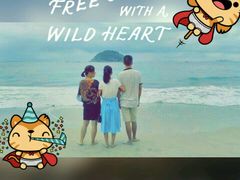 -西涌国际滨海旅游区