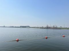 -杭州湾海上花田景区
