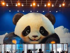 -赛格国际购物中心(小寨店)