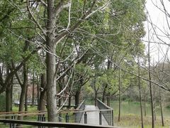 -昆山城市生态森林公园