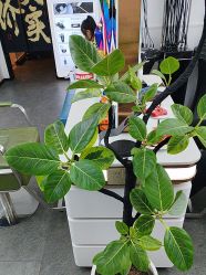 -LJOY丽锦造型·烫发染发