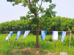 -良渚古城遗址公园