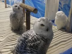 -成都浩海立方海洋公园