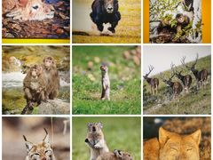 -中国湿地博物馆