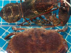 -三亚火车头万人海鲜广场