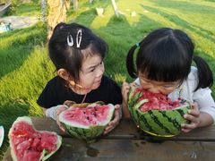 -九善农植有机生活农场