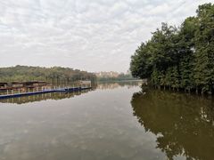 -三水森林公园