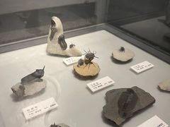 -重庆自然博物馆(新馆)