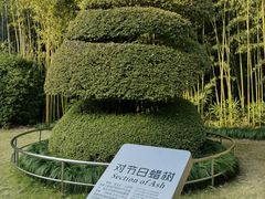 -苏州河梦清园环保主题公园