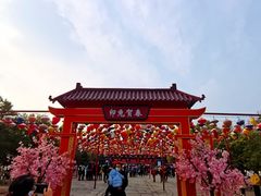 -祥源·阜阳生态乐园