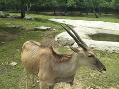 -西安秦岭野生动物园