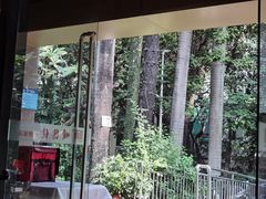 -顺德佬华侨城店·商务宴请·团建