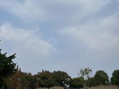 -眉山湿地公园(东坡区)