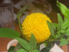 -拉蒂娜·巴西牛排馆 Latina·Brazilian Steakhouse(王府井喜悦店)