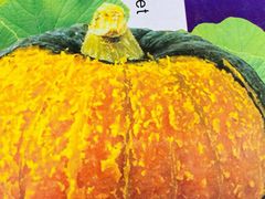 -锦绣大地生鲜食品厅