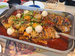 -鱼酷活鱼烤鱼(沈阳大悦城店)