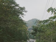 -大岭沟猕猴桃谷风景区