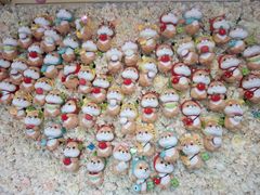 -柴犬高等学院·狗咖·柴犬售卖·宠物训练