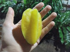 -万兴启丰椰子文化园餐厅