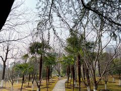 -堤角公园