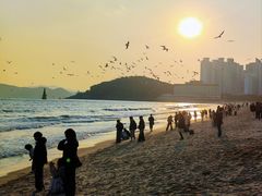 -海云台海滩