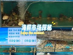-仙螺岛海鲜自助餐厅(总店)