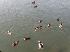 -二十一世纪饭店-游泳馆