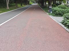 -南宁南湖公园