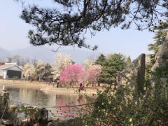 -国家植物园南园