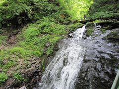 -凤凰山国家森林公园