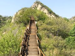 -大岭沟猕猴桃谷风景区